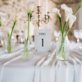 Load image into Gallery viewer, Numéro de table mariage minimal chic pour décoration de table élégante